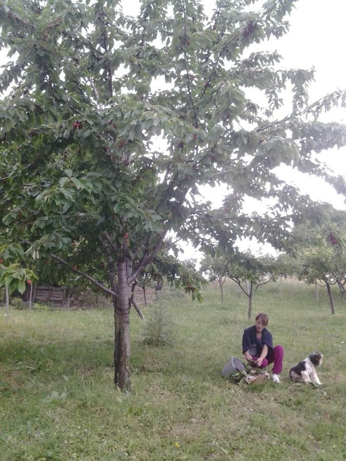Agriturismo Persichitti Torricella Peligna Экстерьер фото